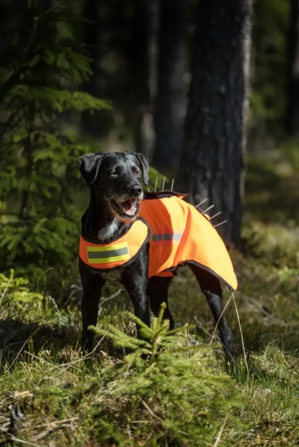 DogTech One Generation 2 koirien suojaliivi, keltainen| Koiran Metsästys- Ja Suojaliivit