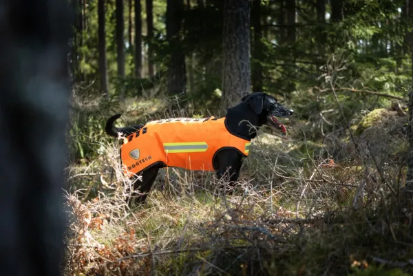 DogTech One Generation 2 koirien suojaliivi, keltainen| Koiran Metsästys- Ja Suojaliivit