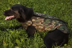 DogTech Liivit^Retriever neopreeniliivi, Camo