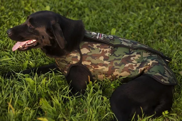 DogTech Liivit^Retriever neopreeniliivi, Camo