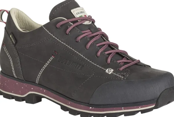 Dolomite Ulkoilukengät^54 Low Fg Evo GTX naisten kengät, harmaa