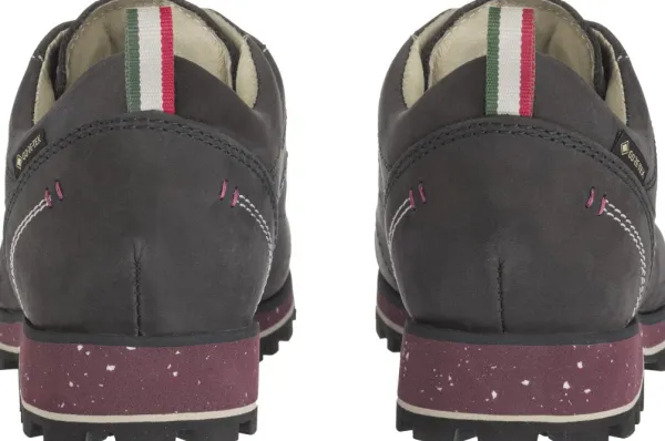 Dolomite Ulkoilukengät^54 Low Fg Evo GTX naisten kengät, harmaa