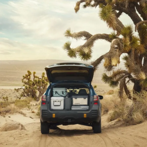 Dometic Portable Gear Storage 10L säilytyspussi, harmaa| Olkalaukut