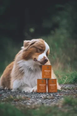 ESSENTIAL FOODS Koiran Märkäruoka^Kingdom Living Pâté 6 x 400 g