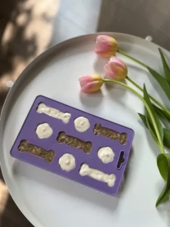 Fiboo Iceboo jäätelömuotti, sininen| Makupalat