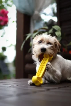 Fiboo kelluva aktivointilelu, 19 cm, vihreä| Aktivointilelut