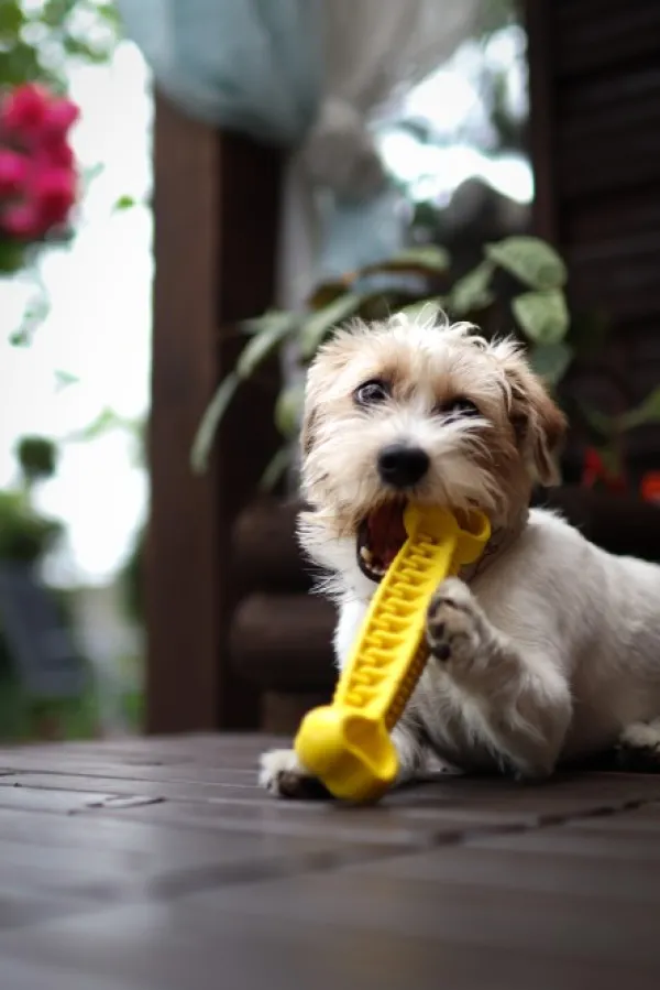 Fiboo kelluva aktivointilelu, 19 cm, vihreä| Aktivointilelut