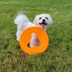 Fiboo kelluva frisbee, 25 cm, oranssi| Noutolelut