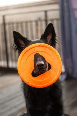 Fiboo kelluva frisbee, 25 cm, oranssi| Noutolelut