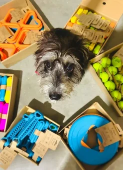 Fiboo kelluva frisbee, 25 cm, sininen| Noutolelut