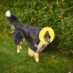 Fiboo kelluva frisbee, 25 cm, vihreä| Noutolelut