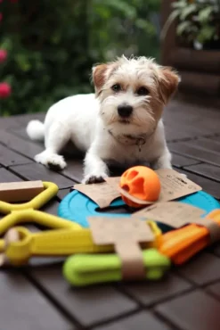 Fiboo kelluva lelu, 12 cm, keltainen| Noutolelut