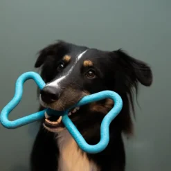 Fiboo Aktivointilelut^kelluva vetolelu, sininen