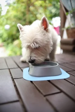 Fiboo Koirankupit^koirankuppi, 200ml, beige