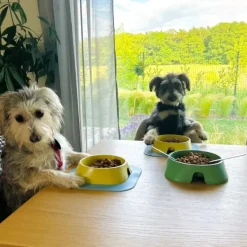 Fiboo Koirankupit^koirankuppi, 400ml, keltainen