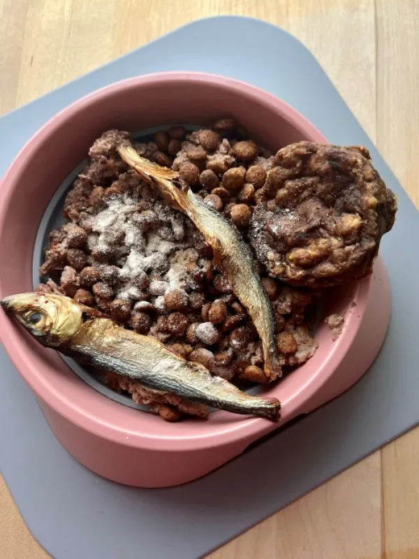 Fiboo Koirankupit^koirankuppi, 700ml, vaaleanpunainen