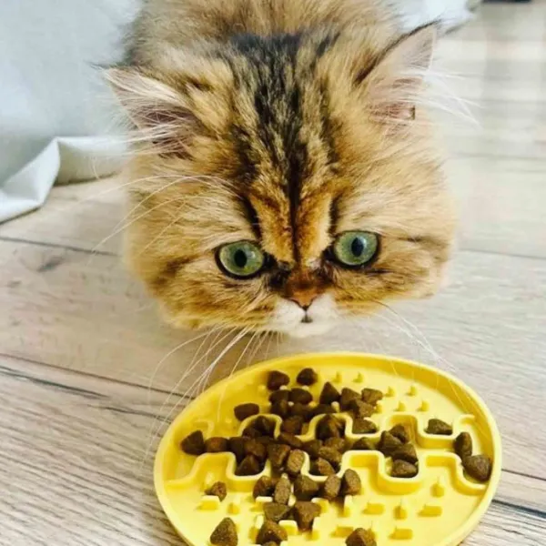 Fiboo Lollipop Mini ruokamatto, 13 cm, roosa| Aktivointilelut