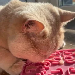 Fiboo Lollipop ruokamatto, 19 cm, roosa| Aktivointilelut