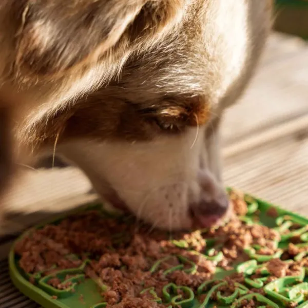 Fiboo Aktivointilelut^Lollipop ruokamatto, 19 cm, beige