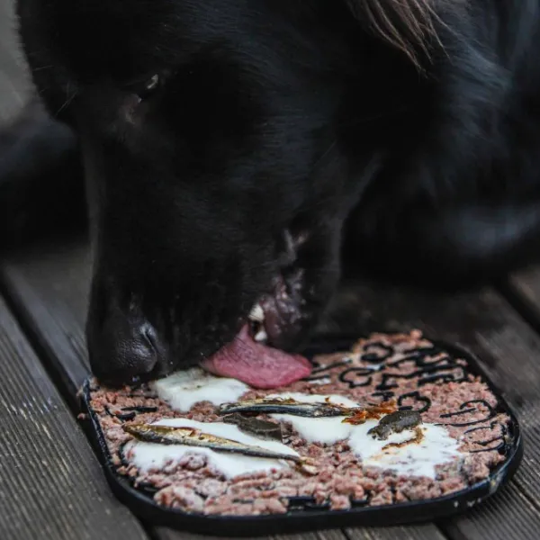 Fiboo Aktivointilelut^Lollipop ruokamatto, 19 cm, harmaa