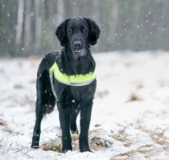 FinNero ATTE huomioliivi, L, neonkeltainen| Narttujen Ja Urosten Suojat