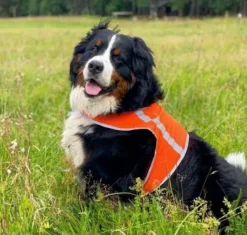 FinNero Vilkkuvalot Ja Huomiotuotteet^ATTE huomioliivi, M, oranssi