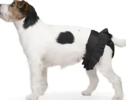 FinNero Narttujen Ja Urosten Suojat^BALLERINA narttujen juoksuhousut, XS, musta