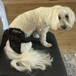 FinNero BALLERINA narttujen juoksuhousut, L, musta| Narttujen Ja Urosten Suojat