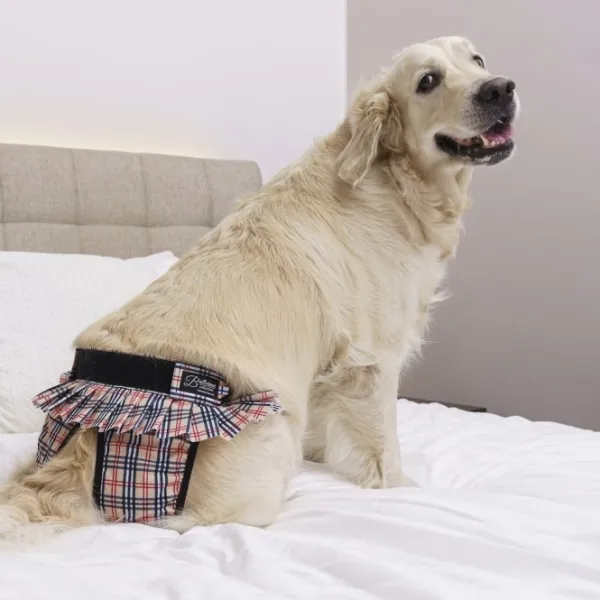 FinNero Narttujen Ja Urosten Suojat^BALLERINA narttujen juoksuhousut, M, beige