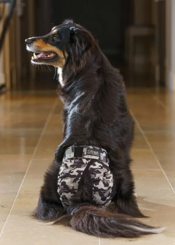 FinNero BRENDA narttujen juoksuhousut, M-XL, tummanharmaa| Narttujen Ja Urosten Suojat