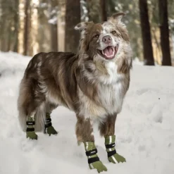 FinNero Hundsko HALLA koiran tossut, M-L, 4-pack, Reflex Grön| Koiran Tossut