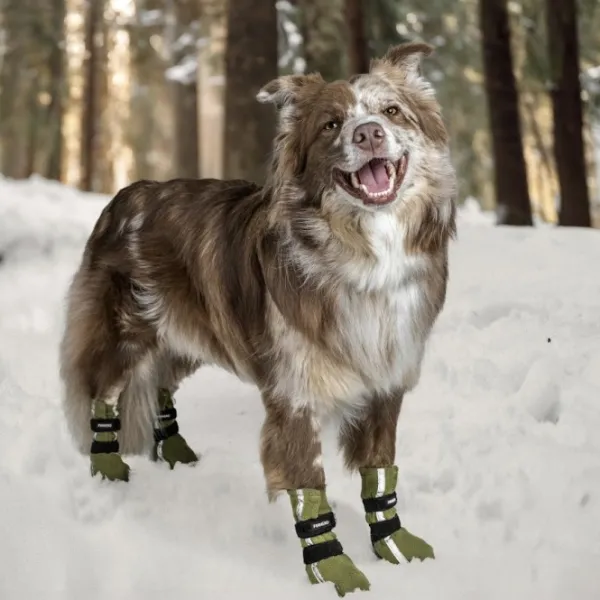 FinNero Hundsko HALLA koiran tossut, M-L, 4-pack, Reflex Grön| Koiran Tossut