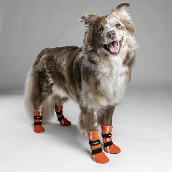 FinNero Hundsko HALLA koiran tossut, XL, 4-pack, Reflex Orange| Koiran Tossut