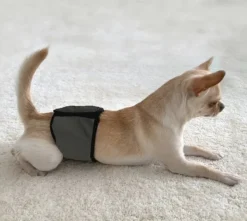 FinNero Narttujen Ja Urosten Suojat^JustinCase urossuoja, S, musta