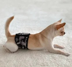 FinNero Narttujen Ja Urosten Suojat^JustinCase urossuoja, XS, camo