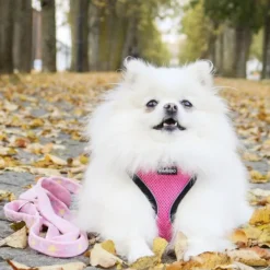 FinNero Valjaat^LIGHT Reflective Harness Pink L