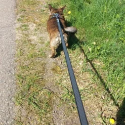 FinNero Taluttimet^RESCUE luistamaton talutushihna, 1,5 cm, musta