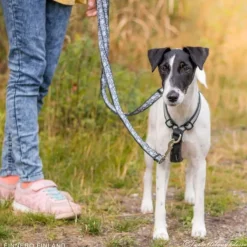 FinNero SALO valjaat, L, musta| Valjaat