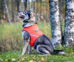 FinNero Liivit^UKKO huomioliivi, XS, punainen/keltainen