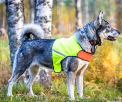 FinNero Liivit^UKKO huomioliivi, XS, punainen/keltainen