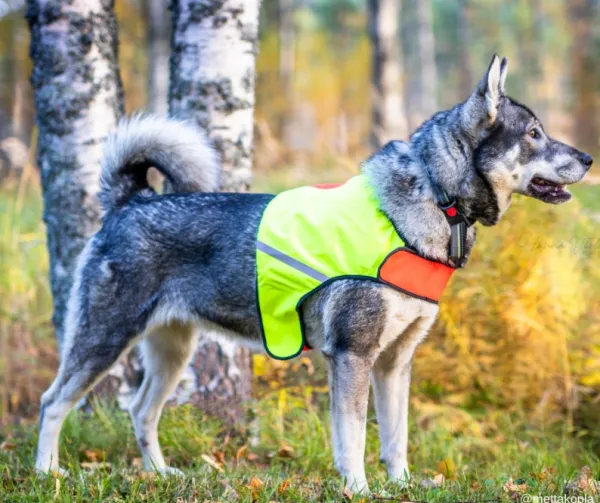 FinNero Liivit^UKKO huomioliivi, XS, punainen/keltainen