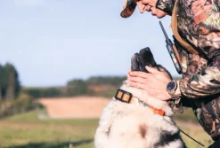 Garmin Alpha 300 koiranseurantakäsilaite| Gps-laitteet