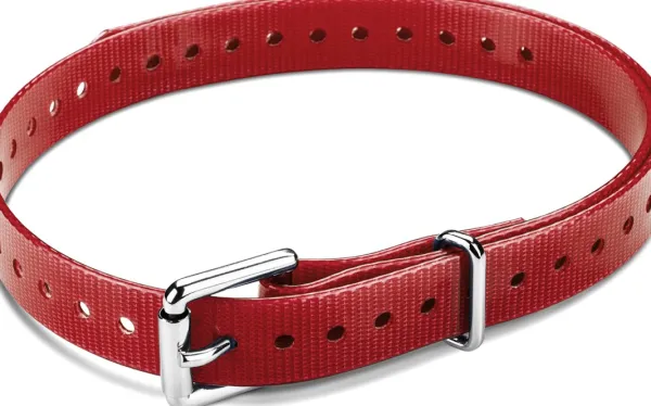 Garmin Kaulapanta T5 Mini Punainen (Rullasolki)| Koiratutkat