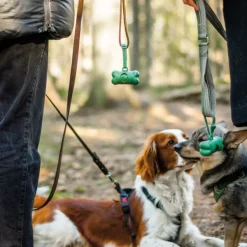 Green Bone Koirankakkapussit^Unscented kakkapussinpidike, 1 rulla, 15 kpl