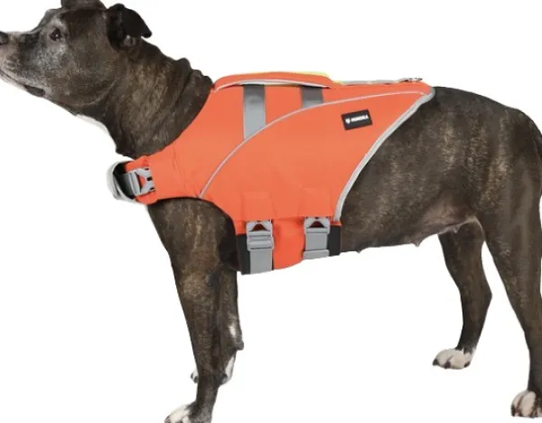 Hundra Koiran Pelastusliivit^Dog Life Jacket koirien pelastusliivi XS
