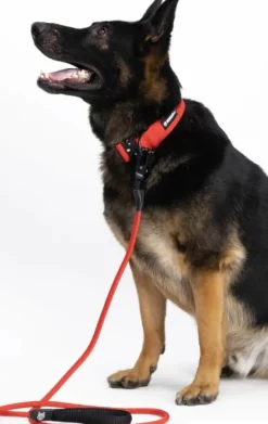 Hundra köysitalutin, punainen| Taluttimet