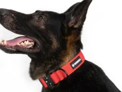 Hundra Kaulapannat^taktinen kaulapanta S-M, punainen