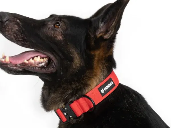 Hundra Kaulapannat^taktinen kaulapanta S-M, punainen