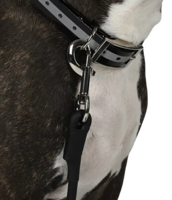 Hundra Training Leash pyöreä jälkiliina| Jälkiliinat