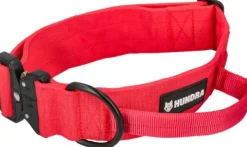 Hundra vahva kaulapanta magneettikahvalla, punainen| Kaulapannat